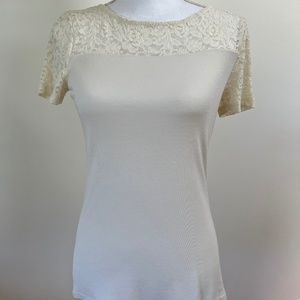 Talbot winter white lace stretch top